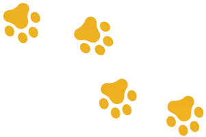 patinhas-da-pet-tag-direita