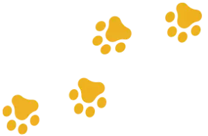 patinhas-da-pet-tag-esquerda